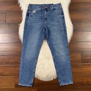 American Eagle Womens Size 4 / 27 90s Slim Boyfriend Denim Jeans Distressed NWT